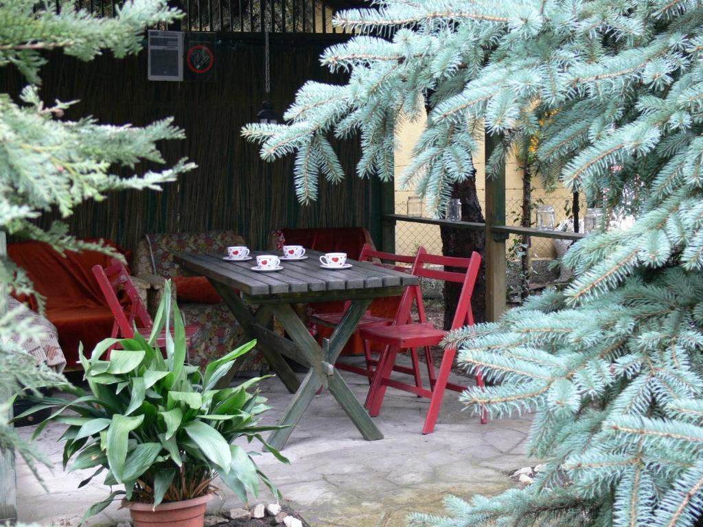Joky Katona Rooms & Apartments Palic Luaran gambar