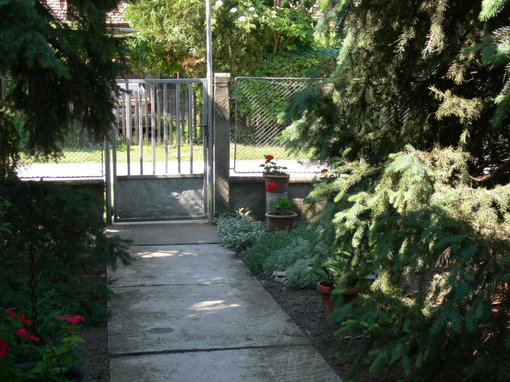 Joky Katona Rooms & Apartments Palic Luaran gambar